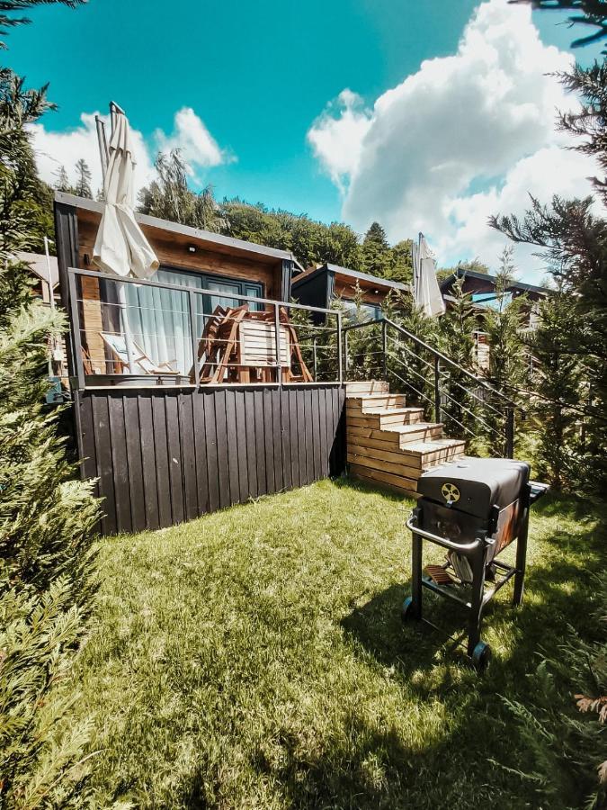 Moon Montana Buşteni Habitación foto